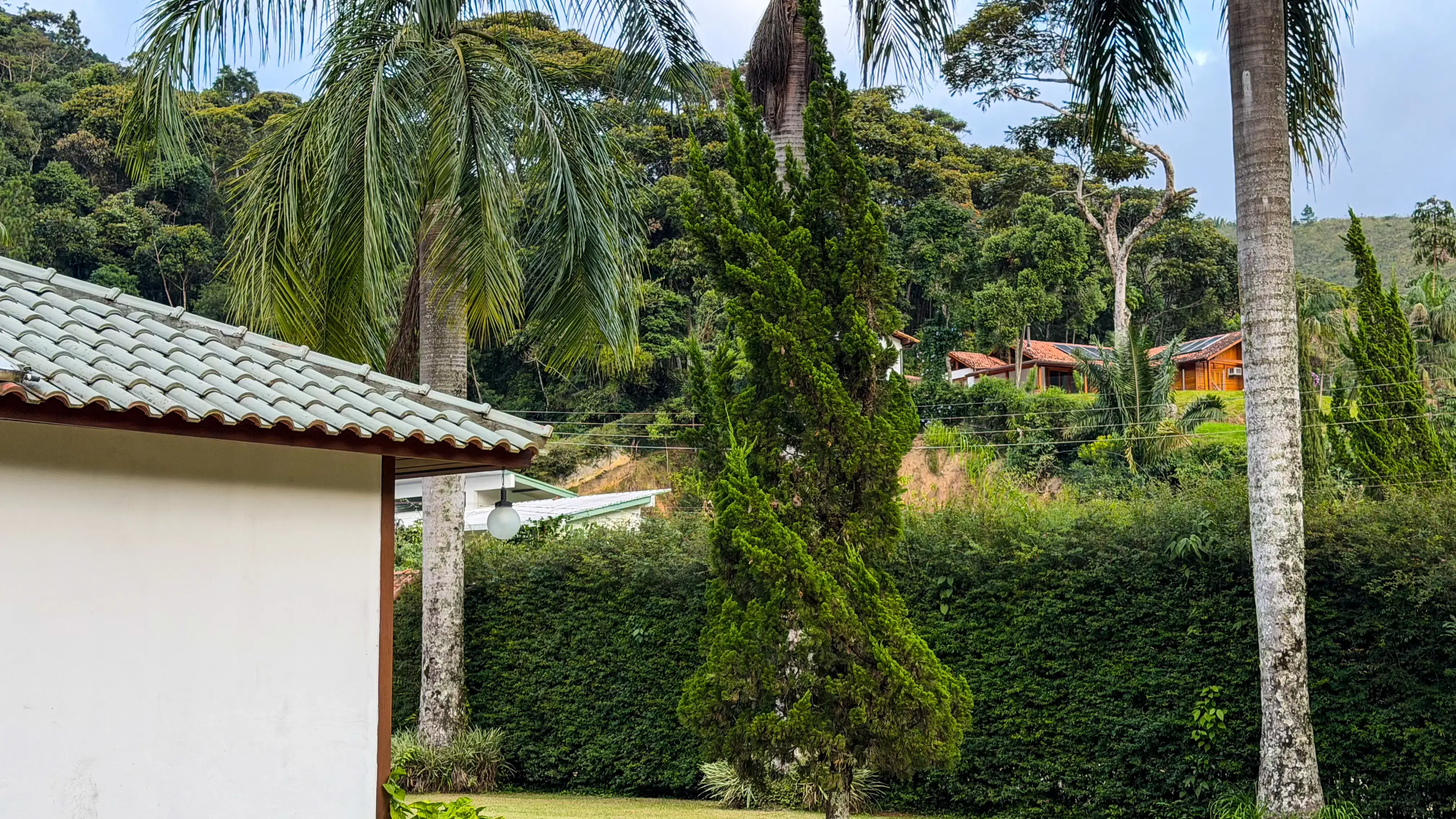 Miniatura 23