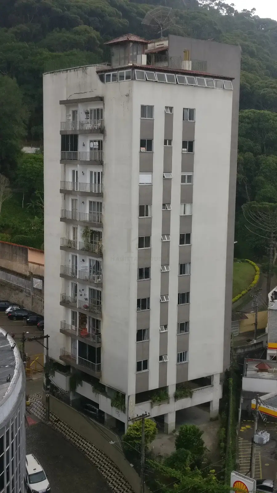 Miniatura 29