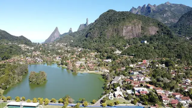 Miniatura 12