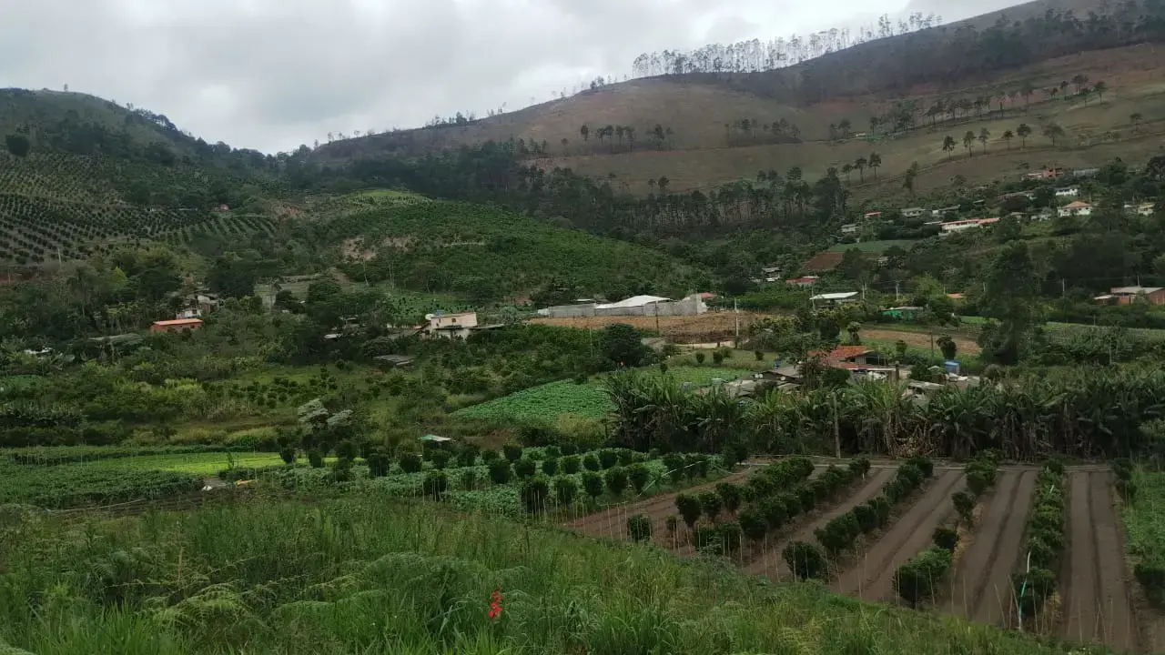 Chácara com 55.000 m², Lago, Pomar e Muita Natureza