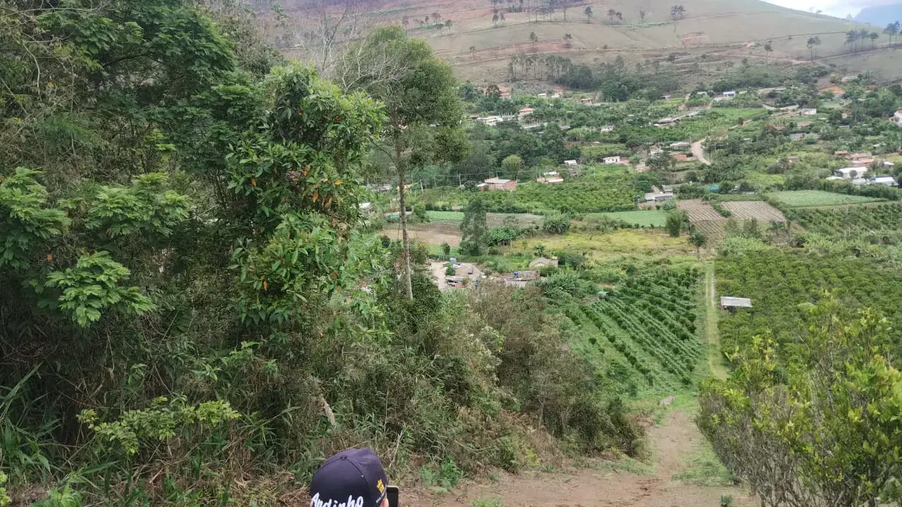 Miniatura 15