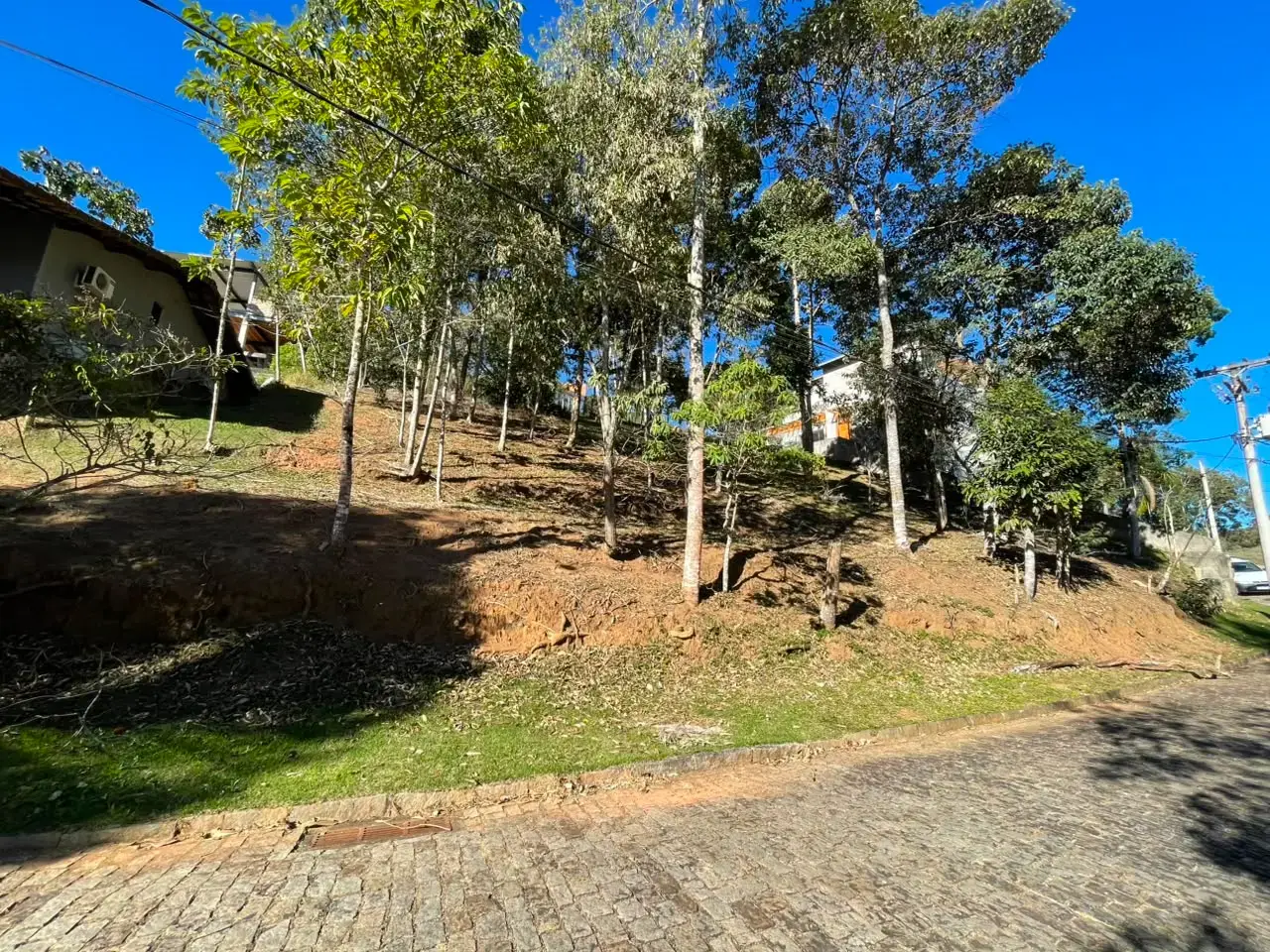 Miniatura 23