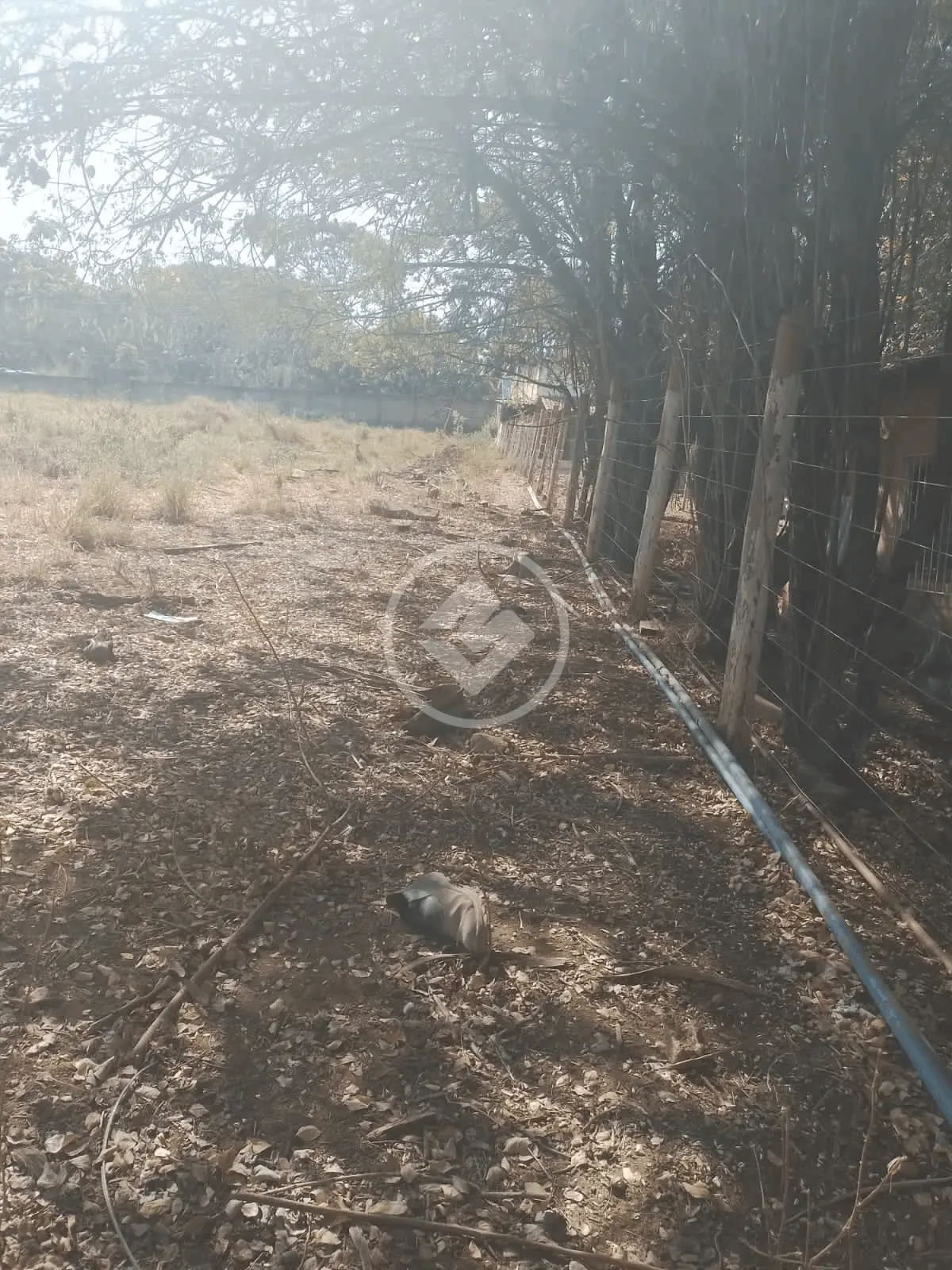 Imagem 2 - Terreno em Chácaras de Recreio São Joaquim, Goiânia - GO