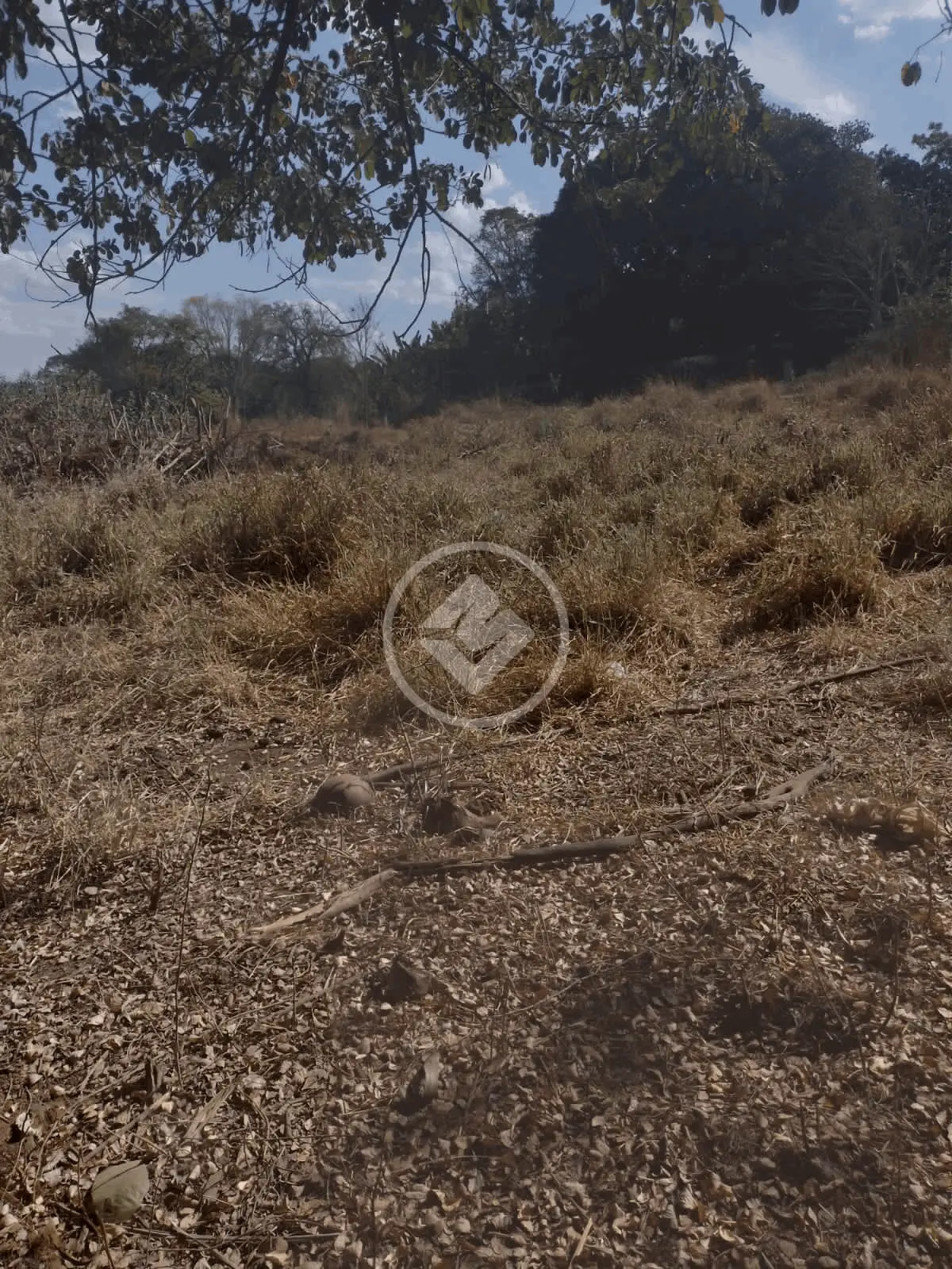 Imagem 4 - Terreno em Chácaras de Recreio São Joaquim, Goiânia - GO
