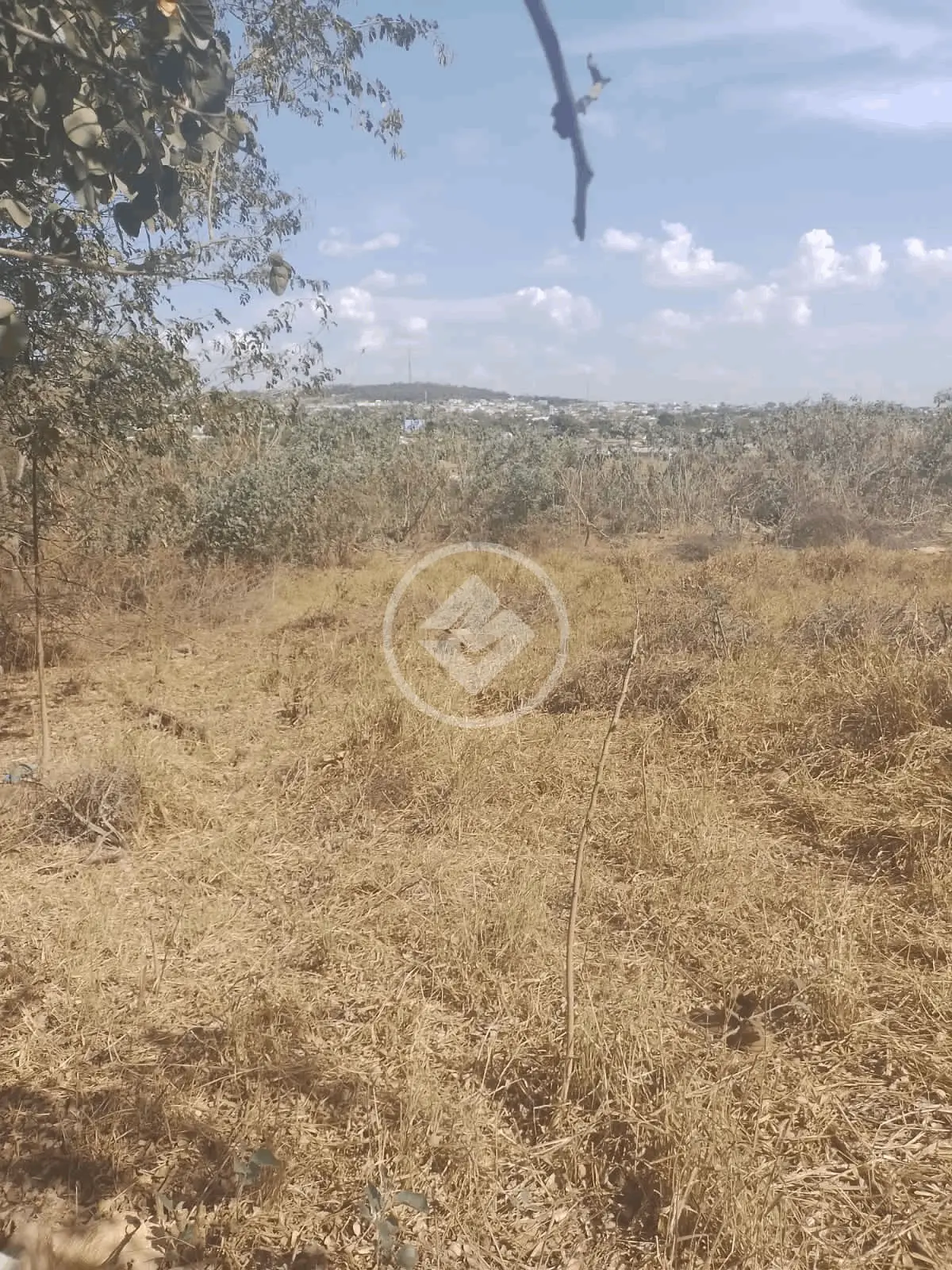 Imagem 3 - Terreno em Chácaras de Recreio São Joaquim, Goiânia - GO