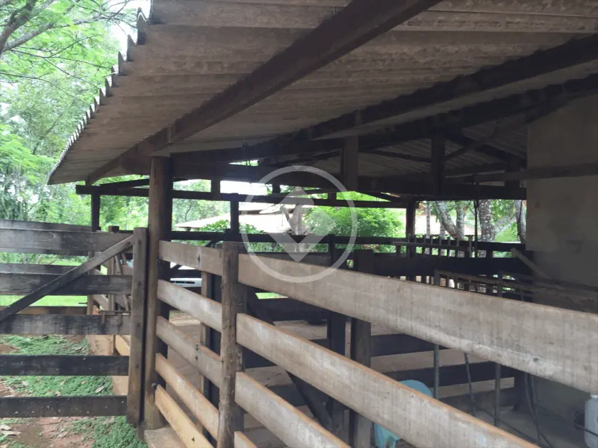 Imagem 5 - Chácara em Bela Vista, Piracanjuba - GO