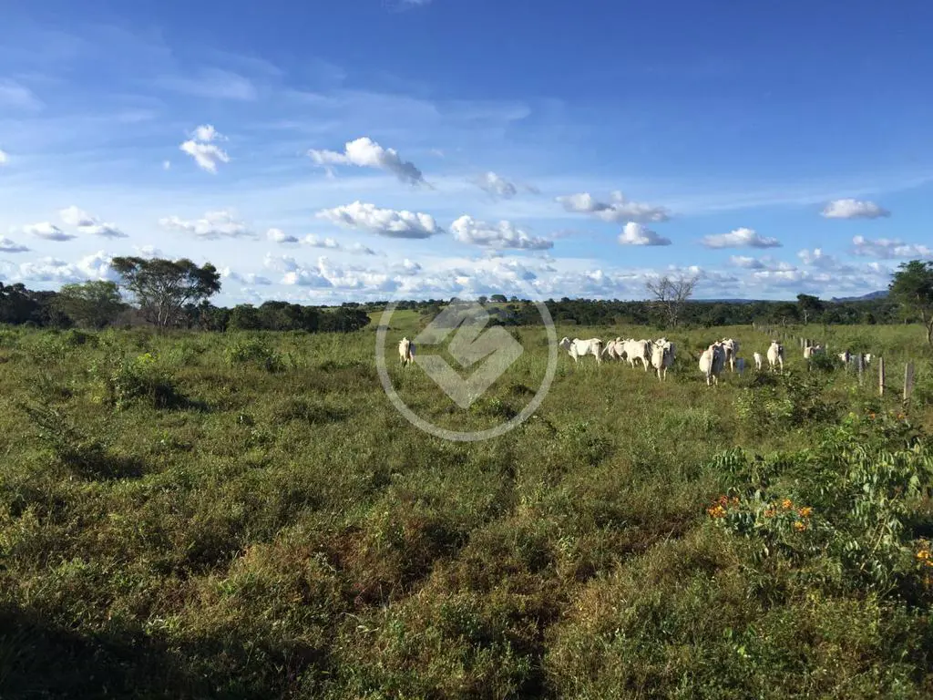 Fazenda Miracema, Miracema do Tocantins - TO — foto 1