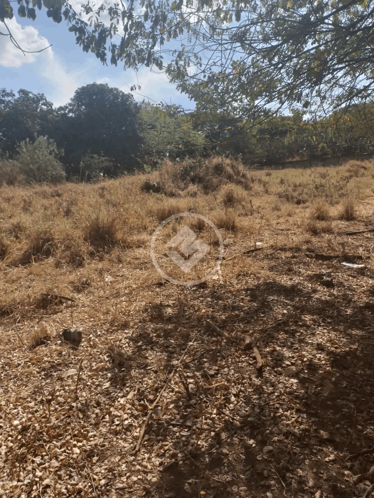 Imagem 6 - Terreno em Chácaras de Recreio São Joaquim, Goiânia - GO