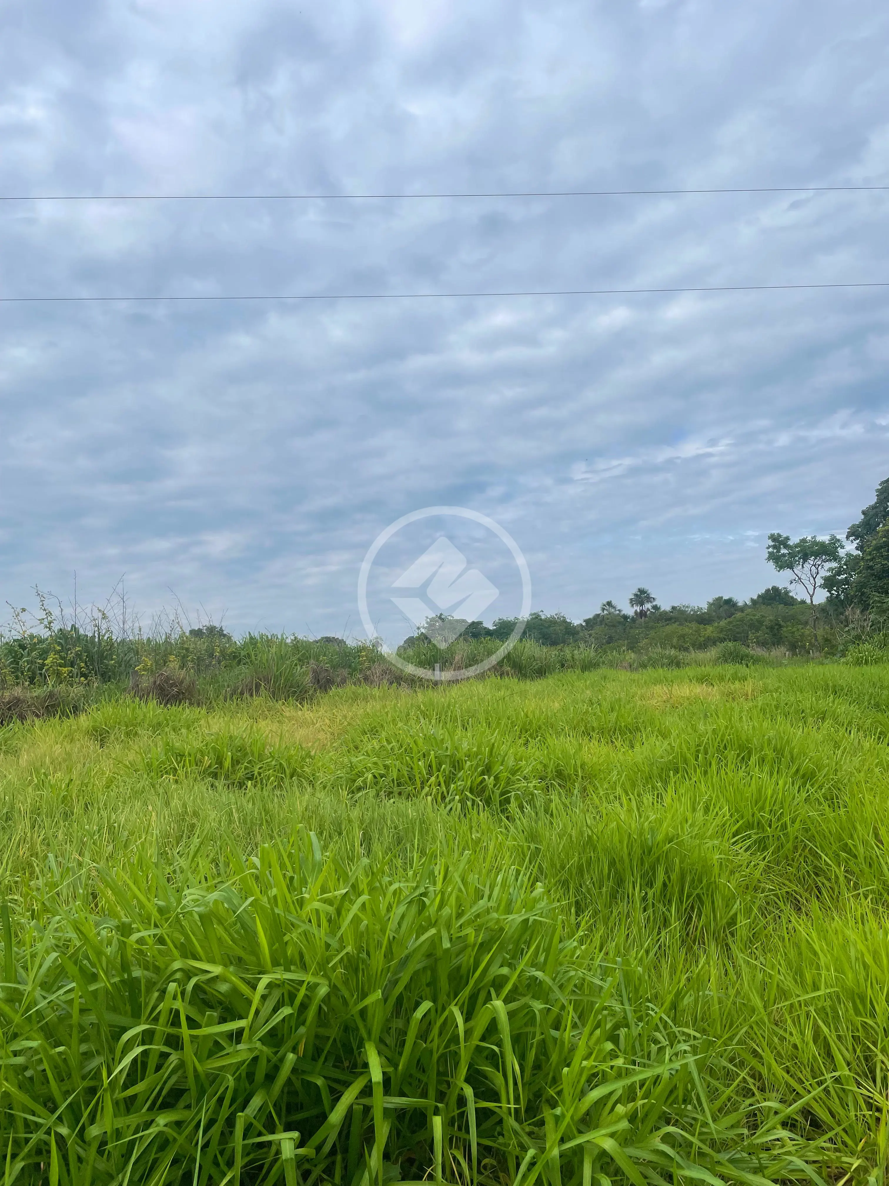 Imagem 5 - Chácara em Central, Bela Vista de Goiás - GO