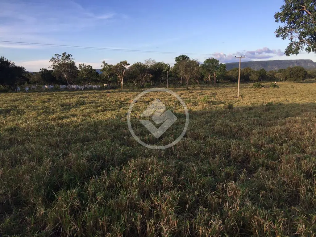 Imagem 2 - Fazenda em Miracema, Miracema do Tocantins - TO