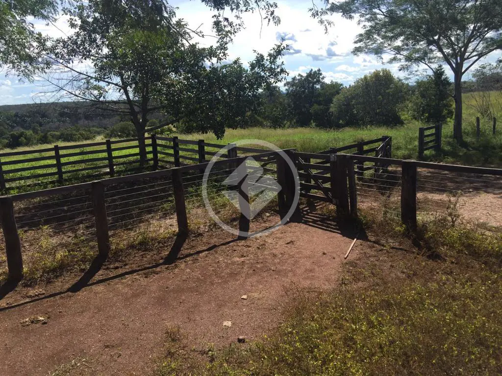 Imagem 3 - Fazenda em Miracema, Miracema do Tocantins - TO