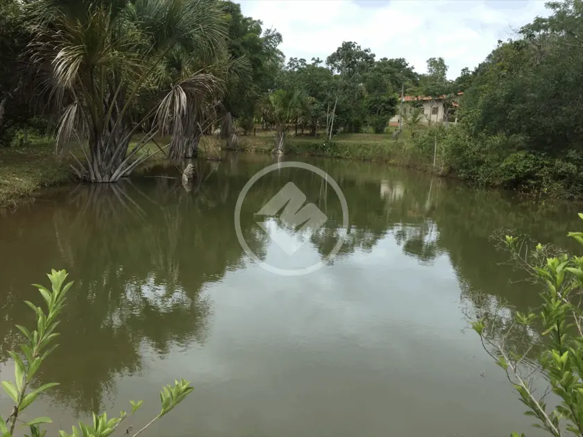 Imagem 6 - Chácara em Bela Vista, Piracanjuba - GO