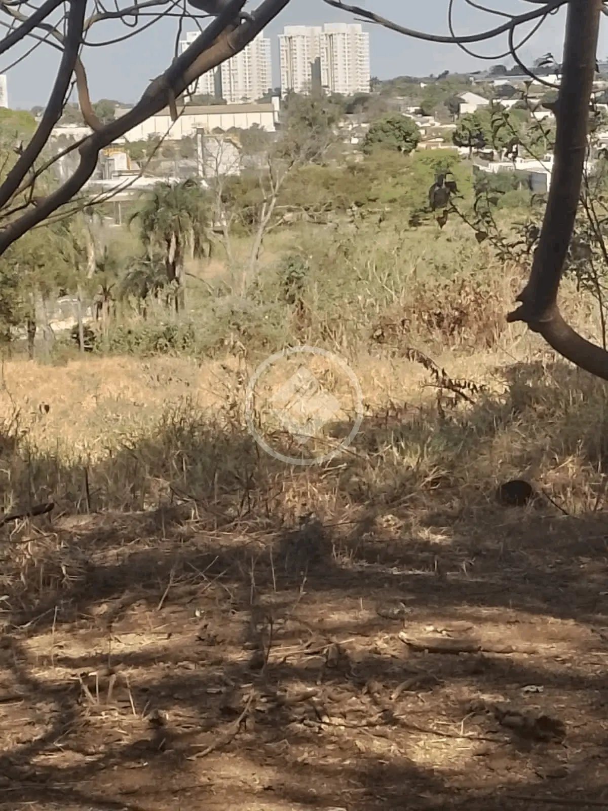 Terreno Chácaras de Recreio São Joaquim, Goiânia - GO — foto 2
