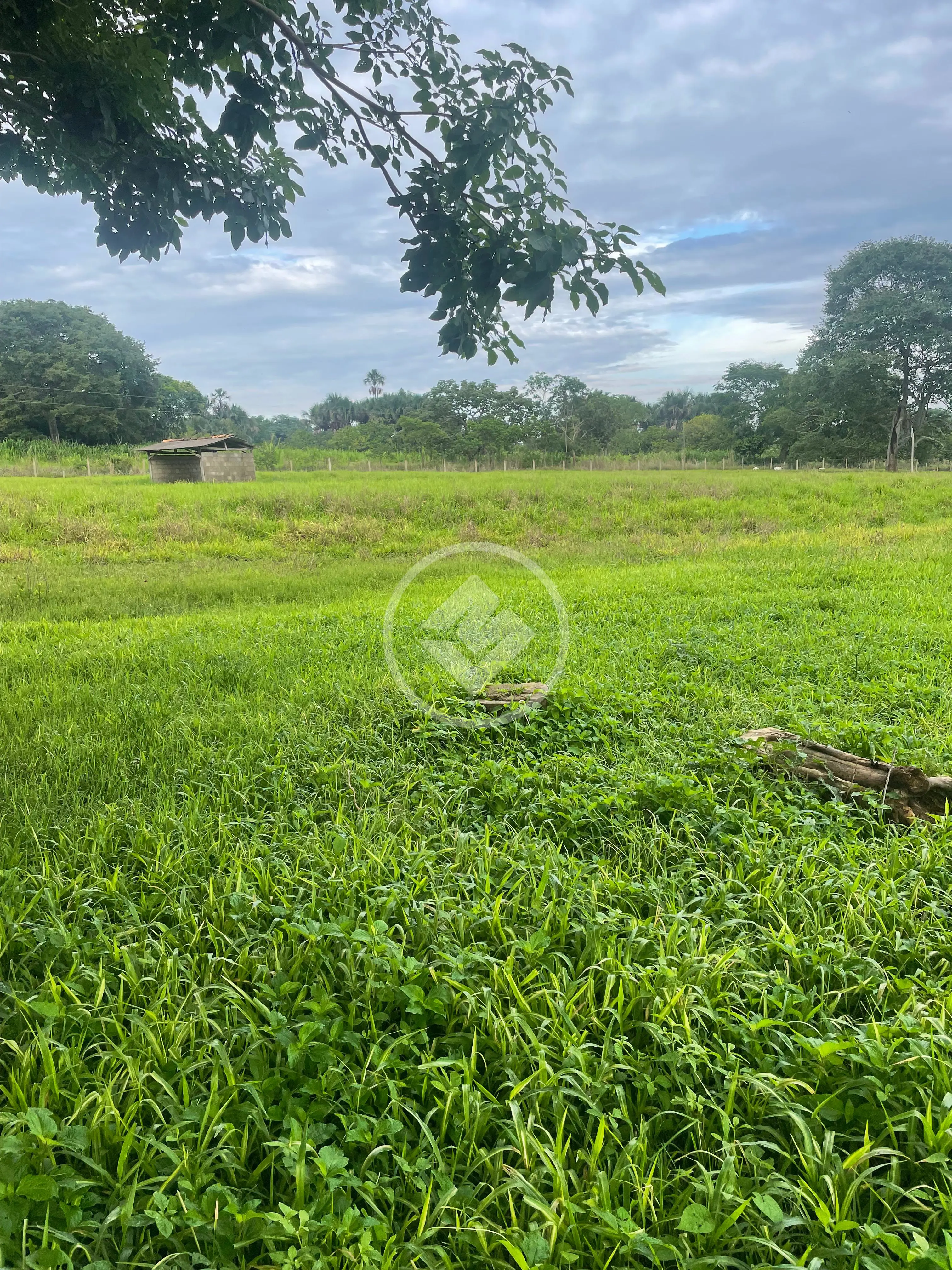 Imagem 4 - Chácara em Central, Bela Vista de Goiás - GO