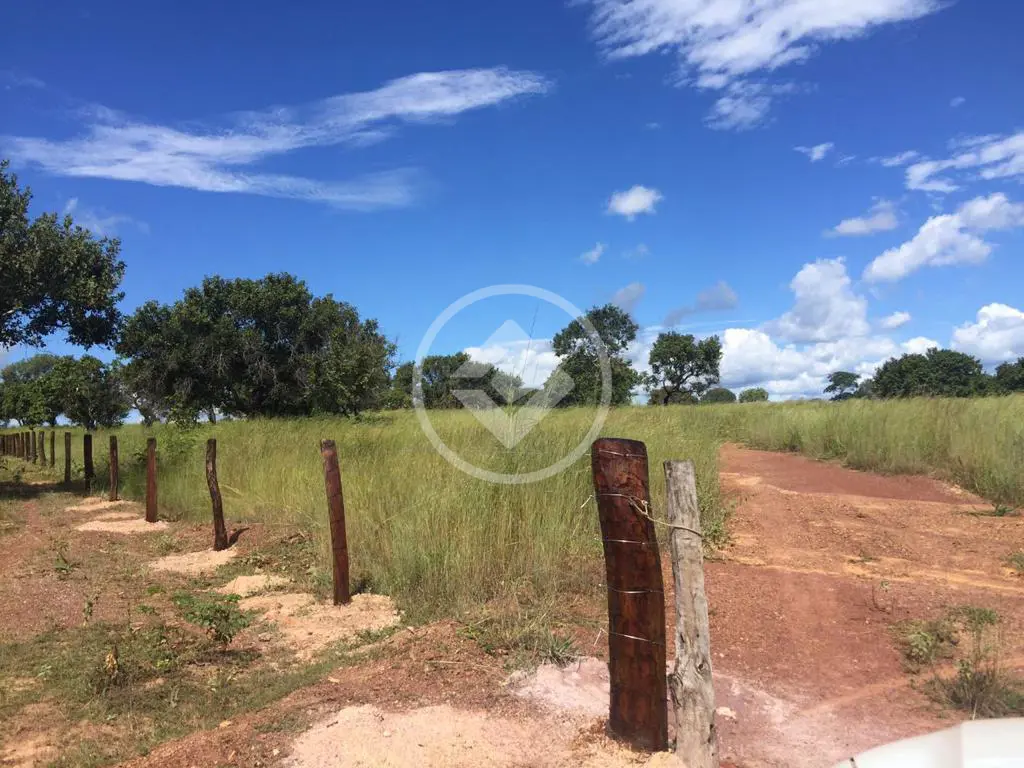 Imagem 5 - Fazenda em Miracema, Miracema do Tocantins - TO