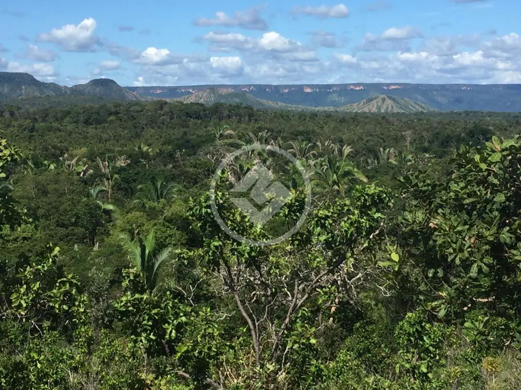 Fazenda Miracema, Miracema do Tocantins - TO — foto 2