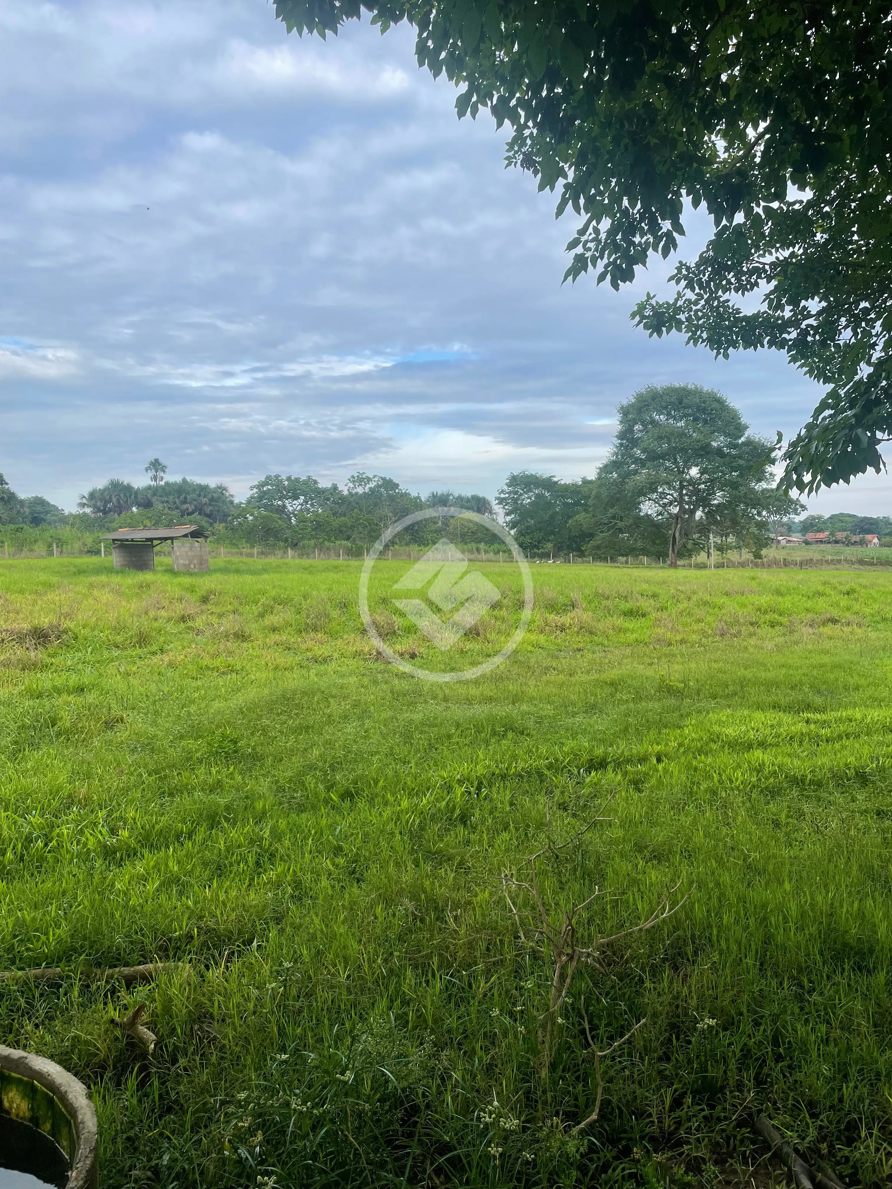 Imagem 6 - Chácara em Central, Bela Vista de Goiás - GO