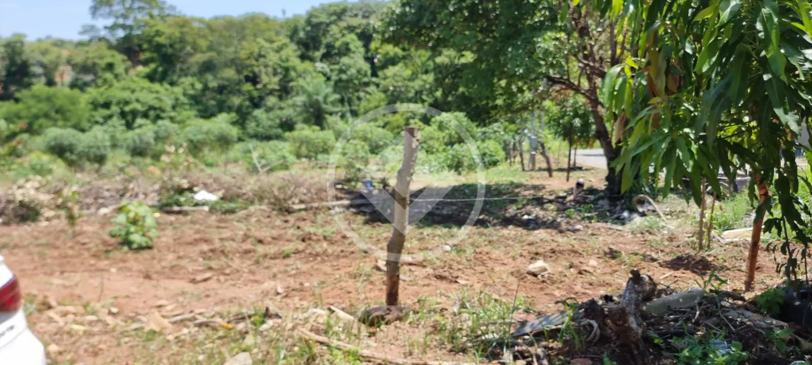 Terreno Parque das Amendoeiras, Goiânia - GO — foto 1