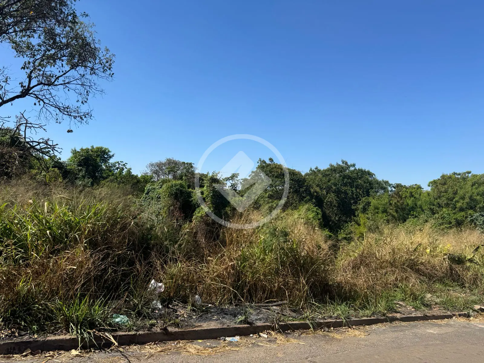 Imagem 3 - Terreno em Parque Floresta, Aparecida de Goiânia - GO