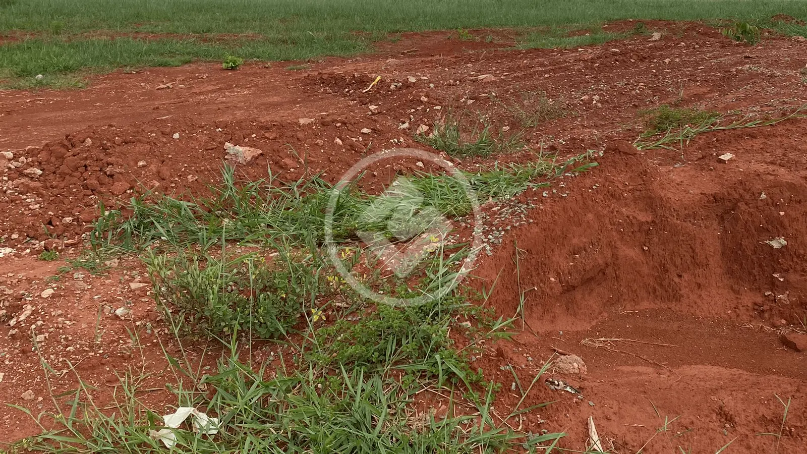 Image 17 - Terreno Condomínio em Distrito Agroindustrial, Senador Canedo - GO