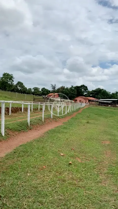 Image 14 - Fazenda em Central, Bela Vista de Goiás - GO
