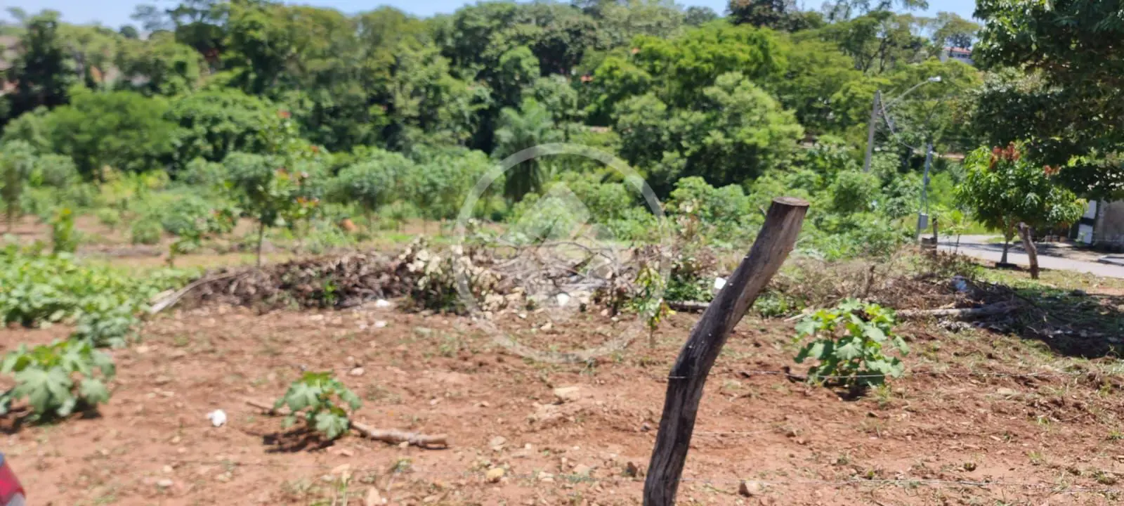 Terreno Parque das Amendoeiras, Goiânia - GO — foto 2