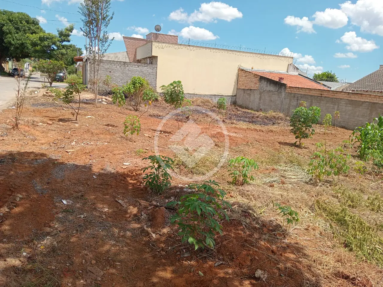 Imagem 4 - Terreno em Cardoso Continuação, Aparecida de Goiânia - GO