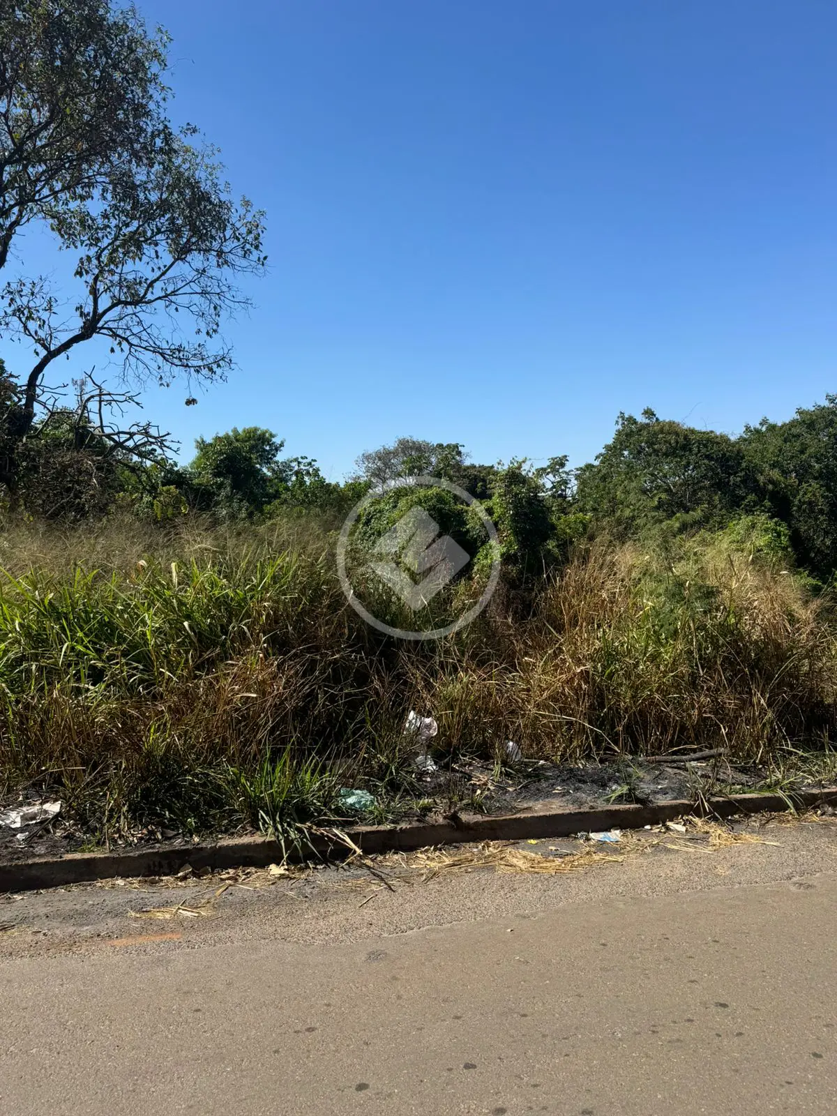 Imagem 2 - Terreno em Parque Floresta, Aparecida de Goiânia - GO