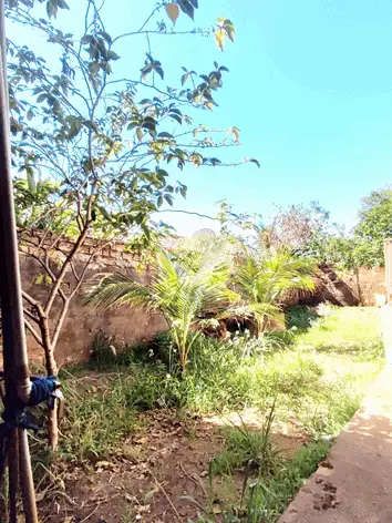 Image 18 - Casa em Água Branca, Goiânia - GO