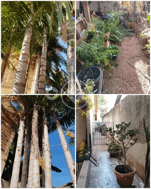 Image 12 - Casa em Residencial Jardim Canedo II, Senador Canedo - GO