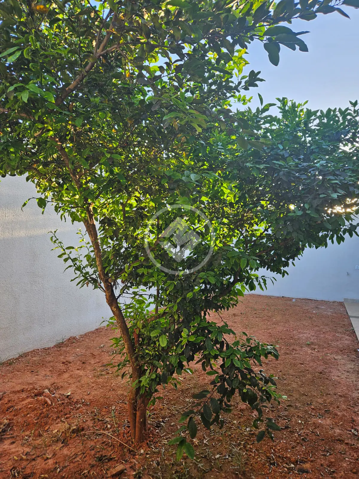 Image 10 - Casa em Jardim Mont Serrat, Aparecida de Goiânia - GO