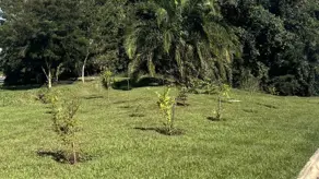 Imagem 4 - Terreno Condomínio em Jardins Barcelona, Senador Canedo - GO
