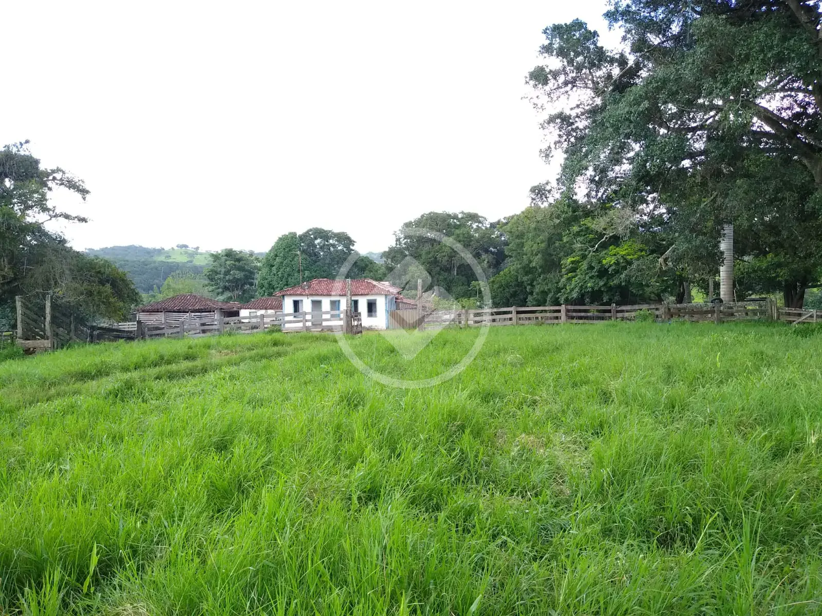 Imagem 2 - Chácara em São Miguel do Passa Quatro GO, São Miguel do Passa Quatro - GO