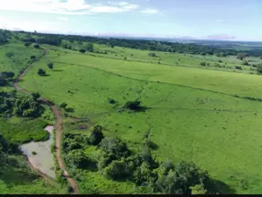 Imagem 3 - Chácara em São Miguel do Passa Quatro GO, São Miguel do Passa Quatro - GO