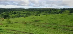 Imagem 4 - Chácara em São Miguel do Passa Quatro GO, São Miguel do Passa Quatro - GO