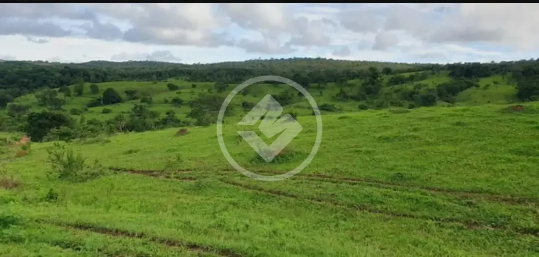 Imagem 4 - Chácara em São Miguel do Passa Quatro GO, São Miguel do Passa Quatro - GO