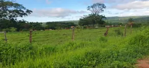 Imagem 6 - Chácara em São Miguel do Passa Quatro GO, São Miguel do Passa Quatro - GO