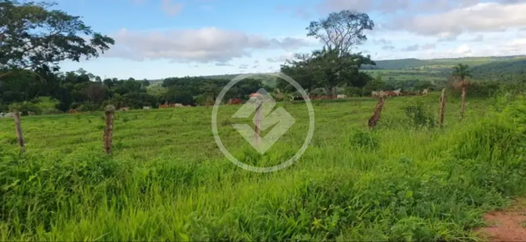 Imagem 6 - Chácara em São Miguel do Passa Quatro GO, São Miguel do Passa Quatro - GO