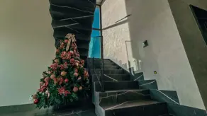 Imagem 3 - Sobrado Em Condomínio em Jardins França, Goiânia - GO