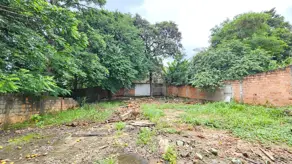 Imagem 5 - Terreno em Vila Alto da Glória, Goiânia - GO