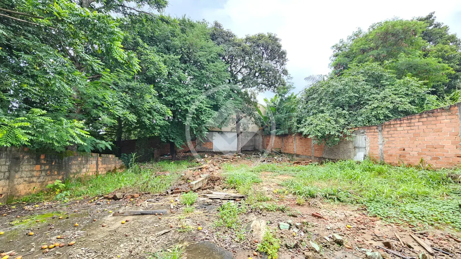 Imagem 5 - Terreno em Vila Alto da Glória, Goiânia - GO