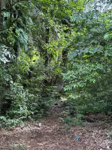 Imagem 4 - Terreno Condomínio em Sítio de Recreio Ipê, Goiânia - GO