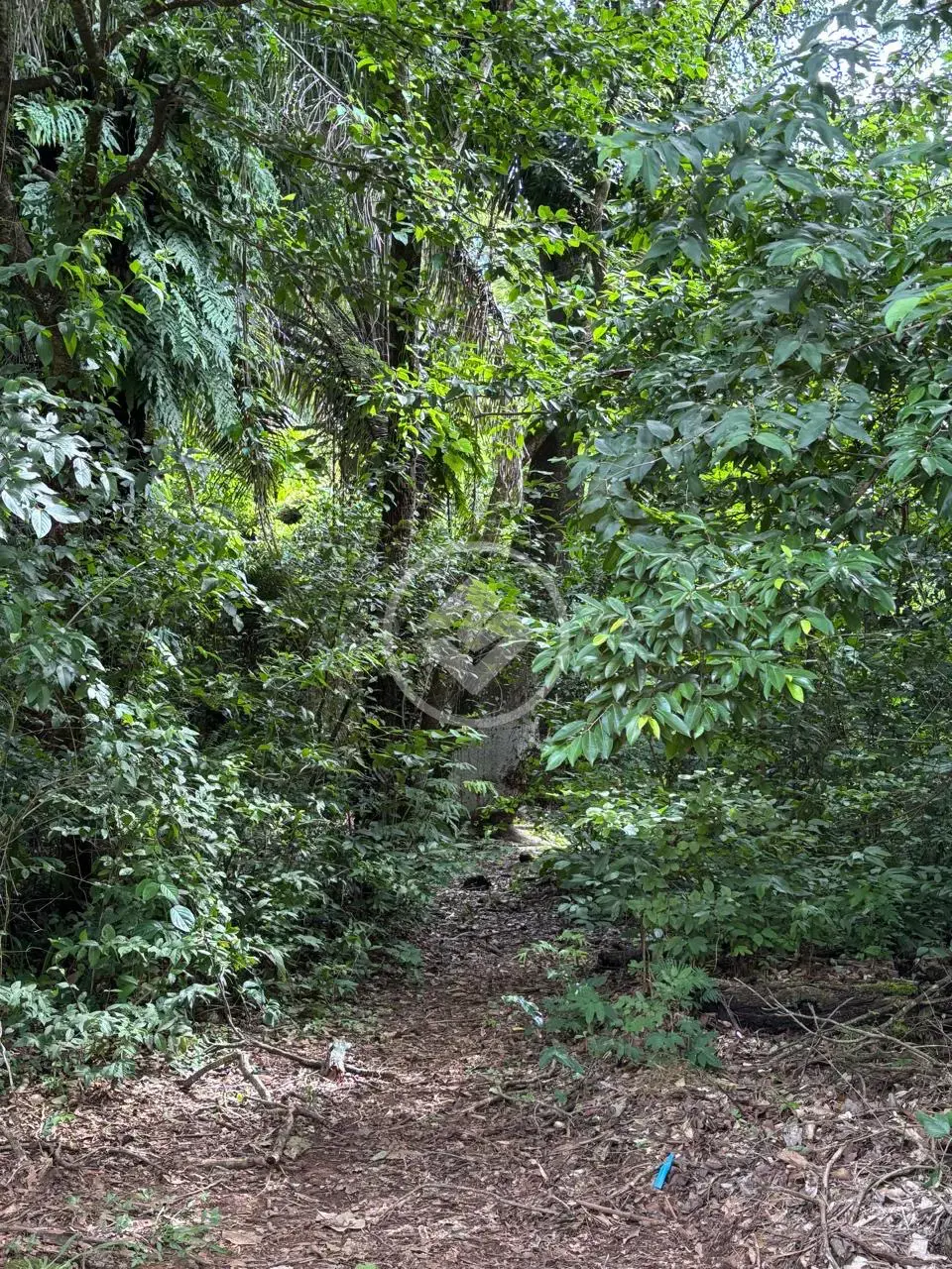 Imagem 4 - Terreno Condomínio em Sítio de Recreio Ipê, Goiânia - GO