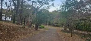 Imagem 6 - Terreno Condomínio em Sítio de Recreio Ipê, Goiânia - GO