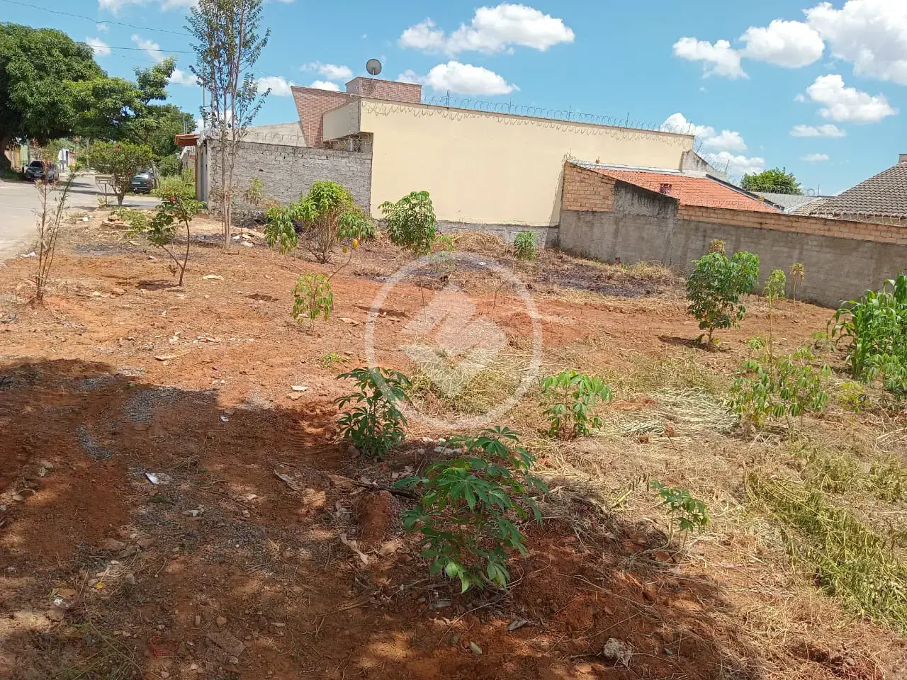Imagem 1 - Terreno em Cardoso, Aparecida de Goiânia - GO