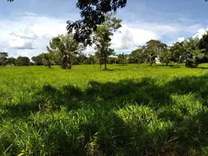 Imagem 3 - Fazenda em Setor Central, Jussara - BA