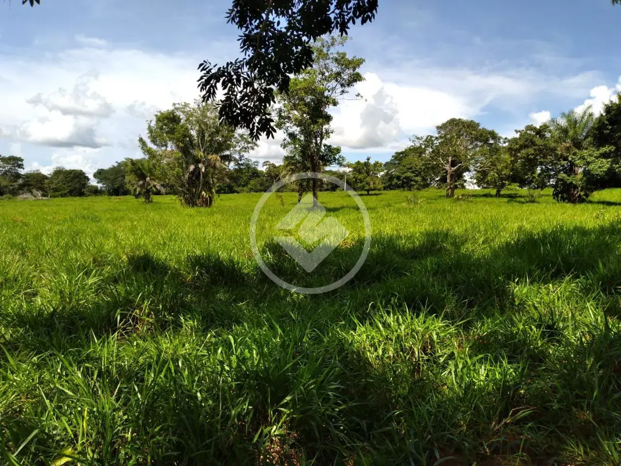 Imagem 3 - Fazenda em Setor Central, Jussara - BA