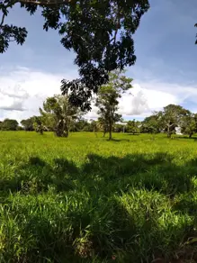 Imagem 5 - Fazenda em Setor Central, Jussara - BA