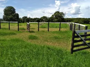Imagem 6 - Fazenda em Setor Central, Jussara - BA