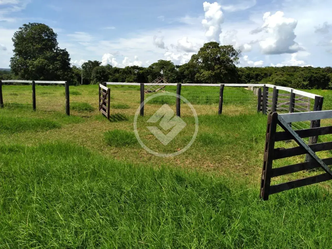 Imagem 6 - Fazenda em Setor Central, Jussara - BA
